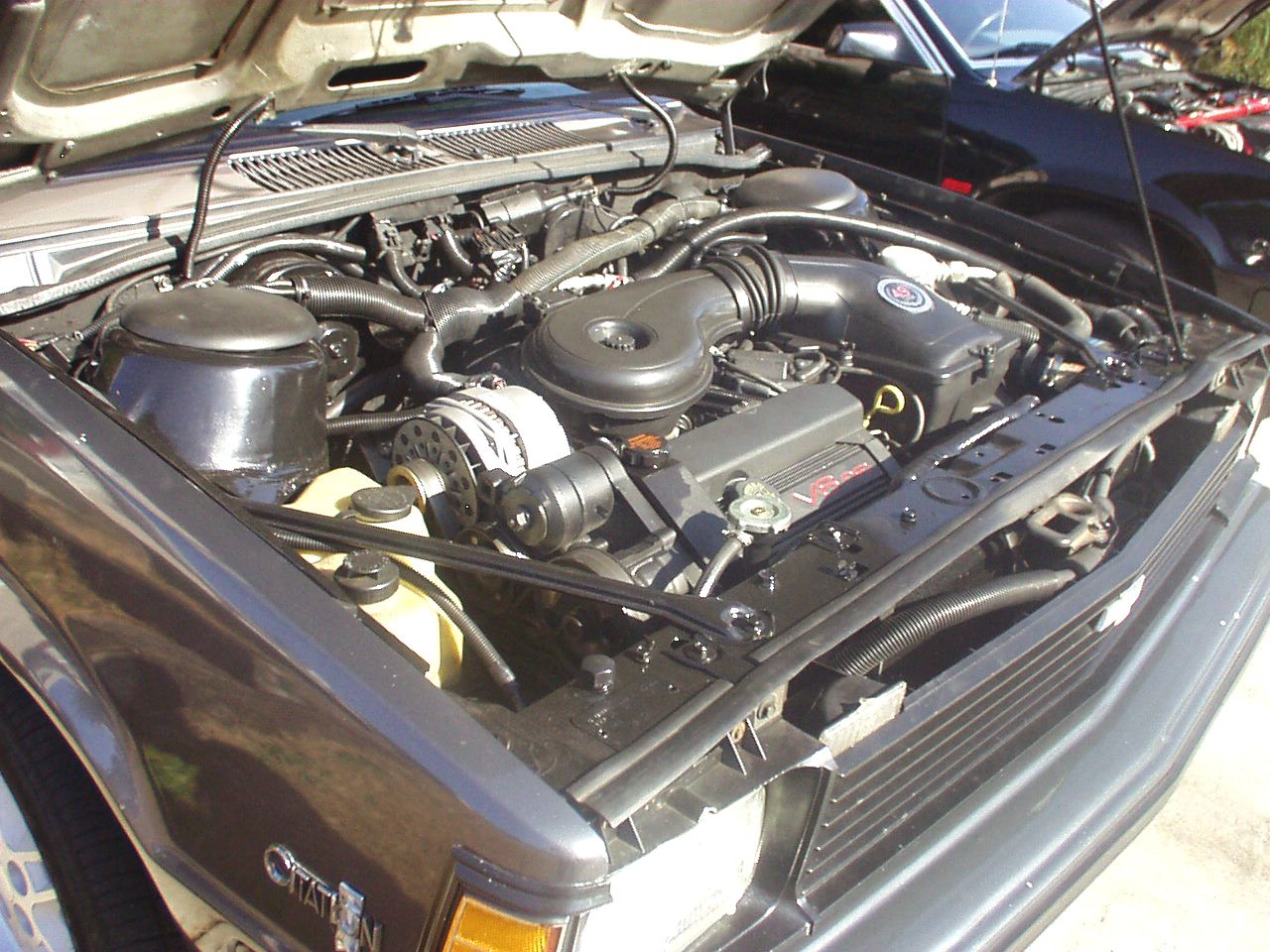 v8 citation